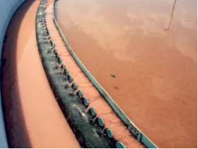 Filamentous bacteria bulking in a secondary clarifier