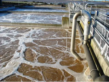 A healthy, evenly mixed aeration basin