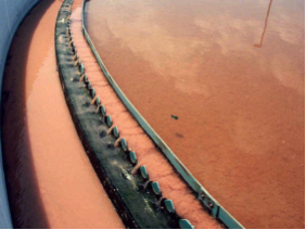 Filamentous Bacteria Bulking